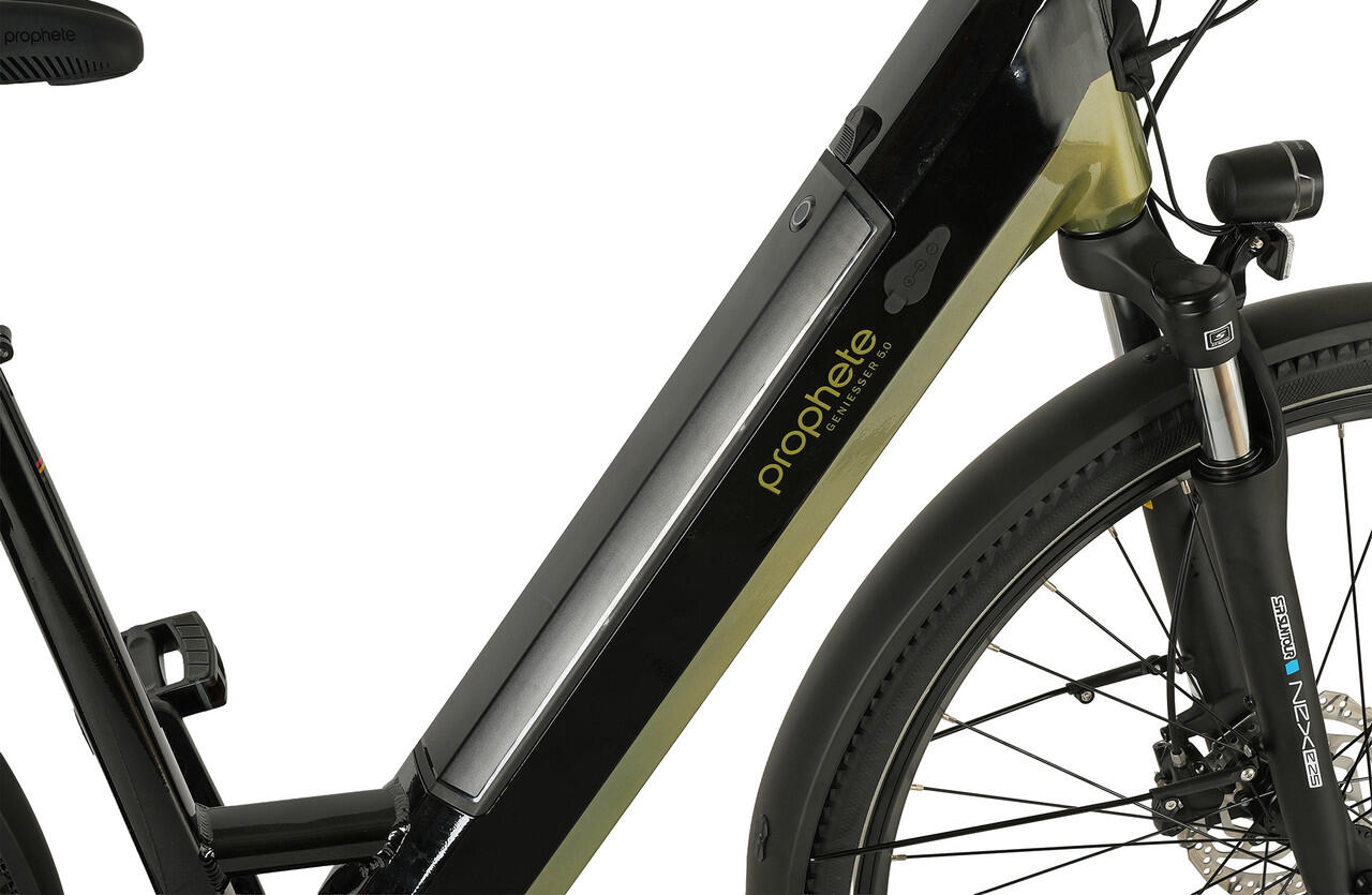 Prophete E-Bike Geniesser 6.0 28″ Wave RH48